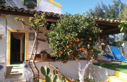 Zagara di Sicilia - Foto 146