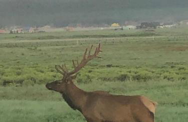 Change of Altitude 7320 - Foto 4