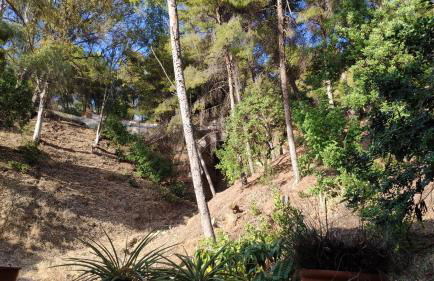 Fabulosa Casa del Árbol - Foto 16