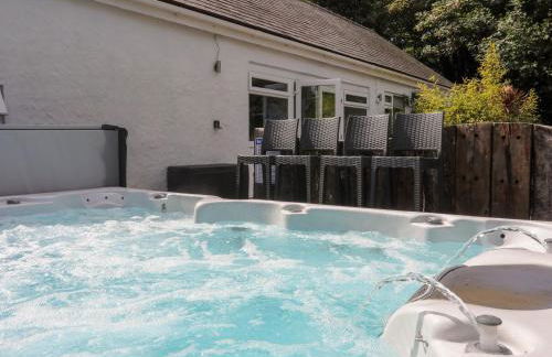 Hen Gilfach - Foto 38