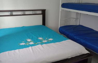 Chácara Raízes - Photo 29