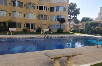 Golden Estudio - Photo 11