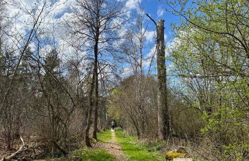 Ferienwohnung Matzenmiller - Photo 9