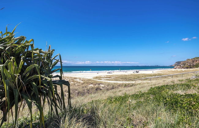 Surfsong on Miami Beach - Photo 39