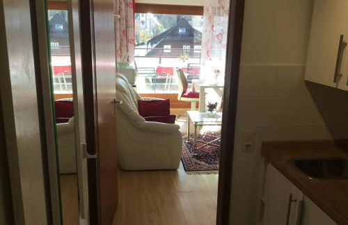 1Z.FeWo 236 barbo Schwimmbad,Sauna,Fitness - Foto 8