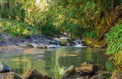 Chalé Flores e Amores - Photo 23