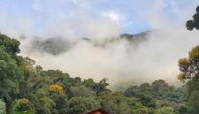 Casa das Araucárias - Sítio Salamandra, Vale do Matutu - Foto 5