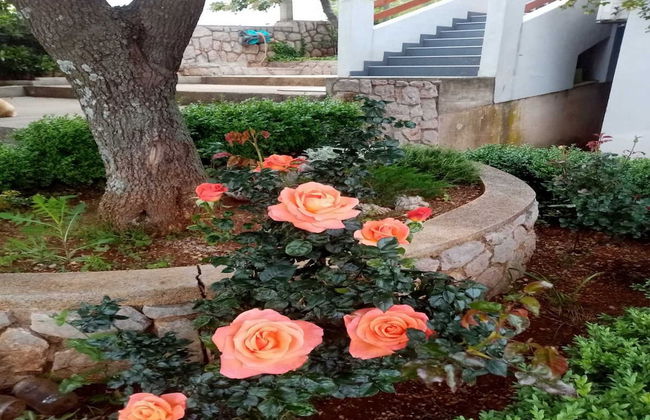 Apartments Paola - Foto 40