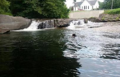 The Acorn includes fire pit, swimming, hiking and nature - Foto 30