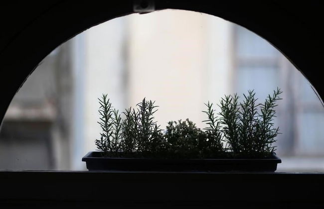 Le Relais de la Maison Bacou - Foto 11