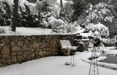 La Huerta de Chocolate Mínimo 2 años larga duración - Foto 11