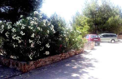 Hvar Melody, Island Hvar, Rosohotnica Bay - Foto 19