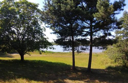 Dom nad jeziorem Suszewskim, Świętne. - Photo 9