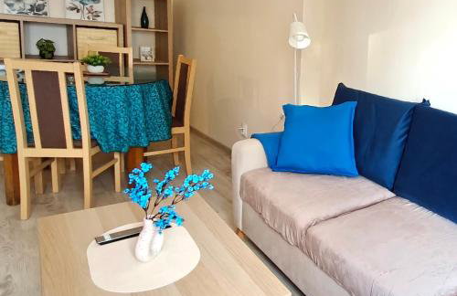 Blue Dream - Warsaw Ochota Apartment - Photo 14