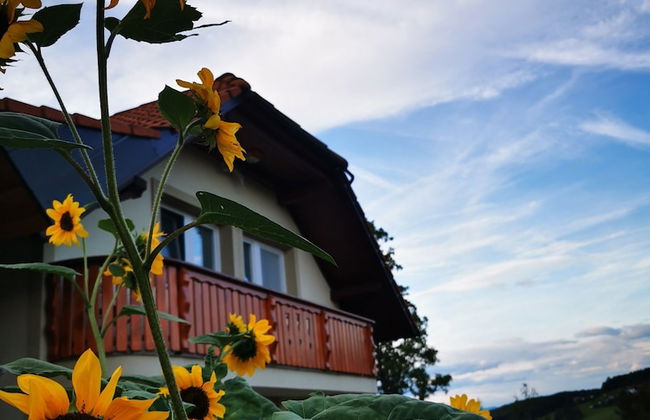 Vineyard cottage Na hribu - Photo 26