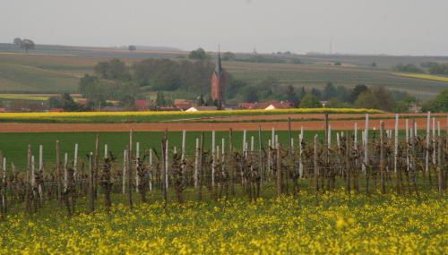 Ferienwohnung Wassergasse - Foto 4