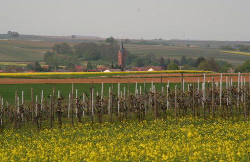 Ferienwohnung Wassergasse - Foto 4