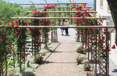 Boscoscuro - Foto 74