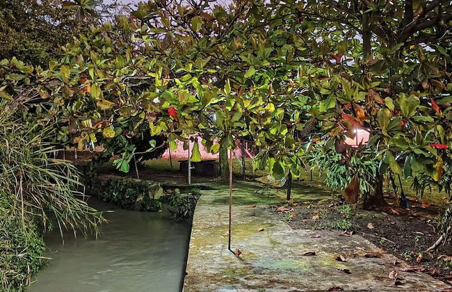 La Guarida - Photo 39