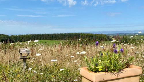 No 1 Ramageton at Carnell Estates - Foto 4