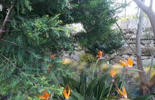 CAMPO DE SOBARBO - Guest House rural - Photo 52