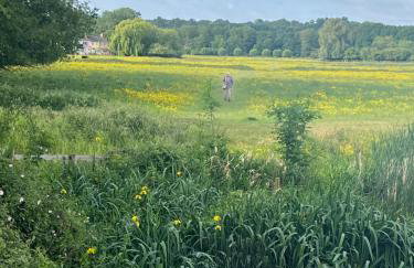 Valley View - Foto 15