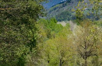 Maison Lennox - Foto 44