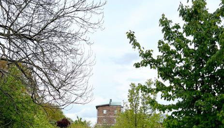 Mühlen-Oase in der Scharmützelsee Region - Foto 5