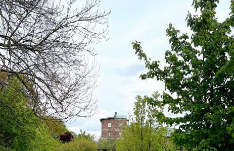 Mühlen-Oase in der Scharmützelsee Region - Foto 5