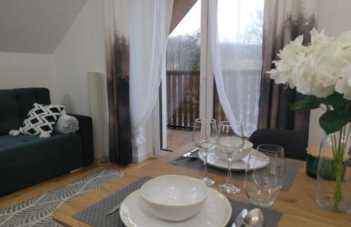 nowe Apartamenty górskie krajobrazy z widokiem na Śnieżnik - Willa Sowia - Foto 16