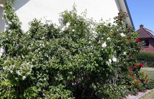 Ferienwohnung Ott - Foto 11