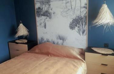 Maison 4p jacuzzi privé couvert 1,6km Ocean - Foto 3