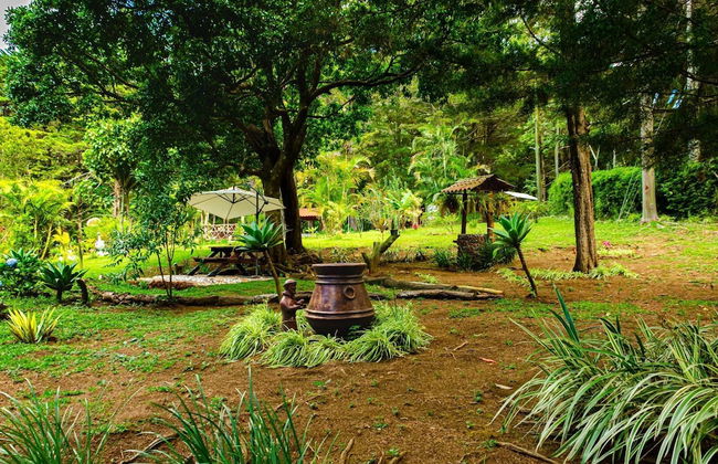 Cabañas Lunas del Poas - Foto 36