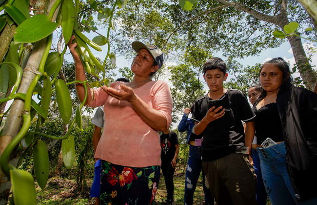 Excursión a la Reserva Ecológica de Tingana + Paseo en canoa - Foto 3