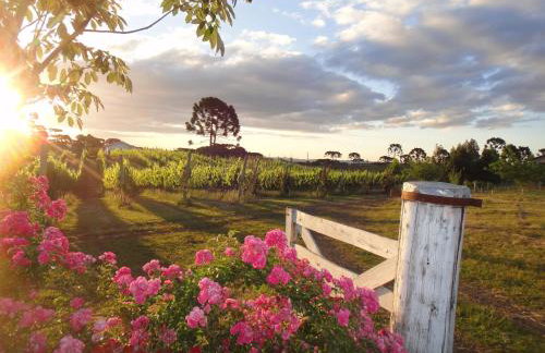 Tenuta Bergamaschi - Foto 34