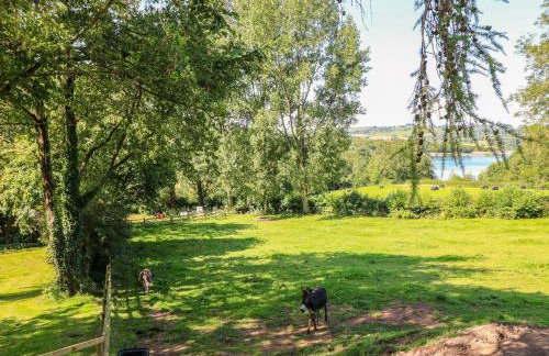 The Ivy Barn - Photo 30