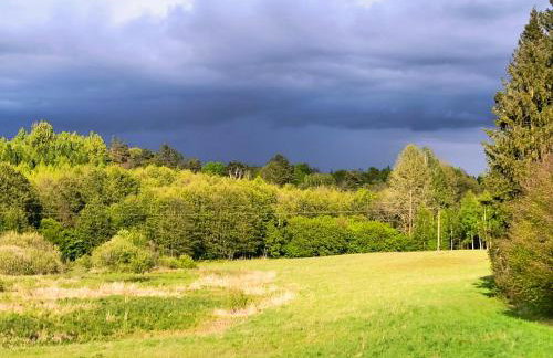 Ptasi Zakątek - Foto 41