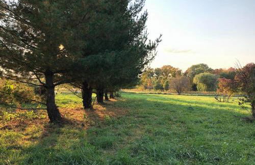 Finn's Hideaway -Modern family river home - Foto 40