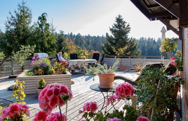 Landhuis Appartement Feldberg Uitzicht - Foto 42