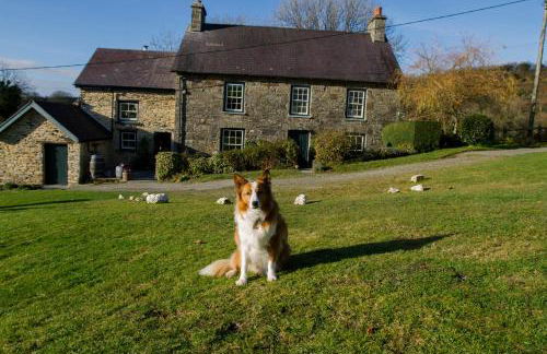Nantgwynfaen Organic Farm Wales - Photo 27