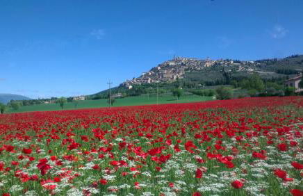 Casa Galoppa - Foto 22