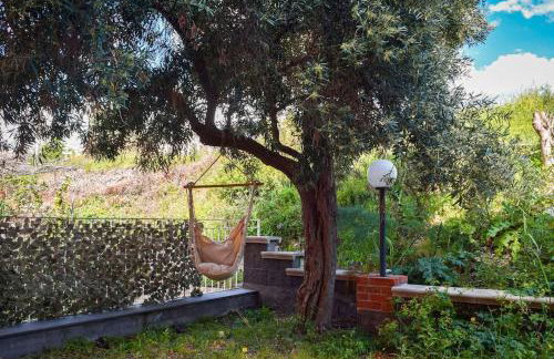 La Terrazza dell'Ulivo - Photo 21