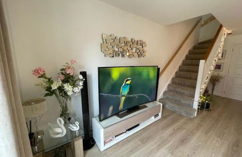 Comet place - Photo 19