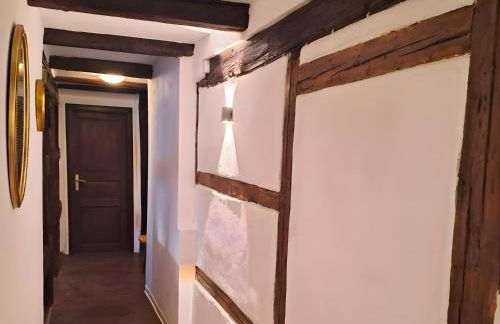 Ferienwohnungen Bernsdorfer Straße Chemnitz - zentrumsnah, teilweise mit Balkon oder Terrasse, große Parkanlage - ideal für Familien, Paare und Geschäftsleute - Foto 21