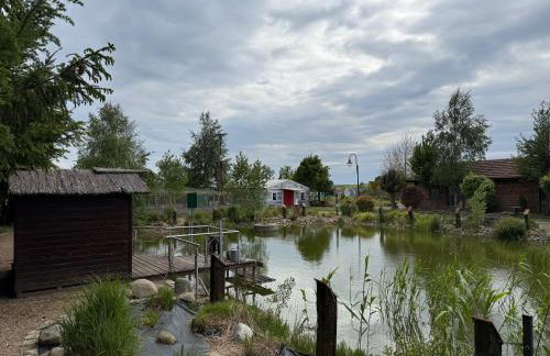 Agroturystka Jaśkowo - Foto 62