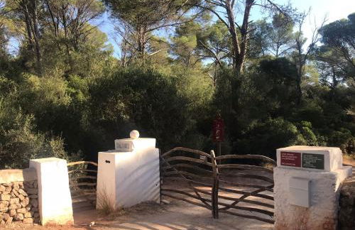 Coves Noves Nice apartment of 75 m2 10 minutes walk from the beach of Arenal d'en Castell - Foto 45