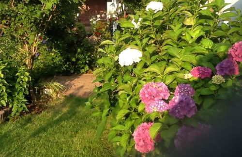 Bokelrehm - Photo 28