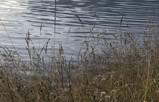 Framtid apartments and holiday homes - Foto 39