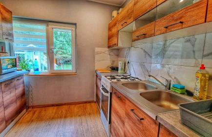 Ranczo Bieszczady duży Domek z Jacuzzi i Sauną - Foto 34