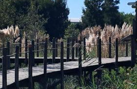 Casa Lagoa Verde - Foto 68